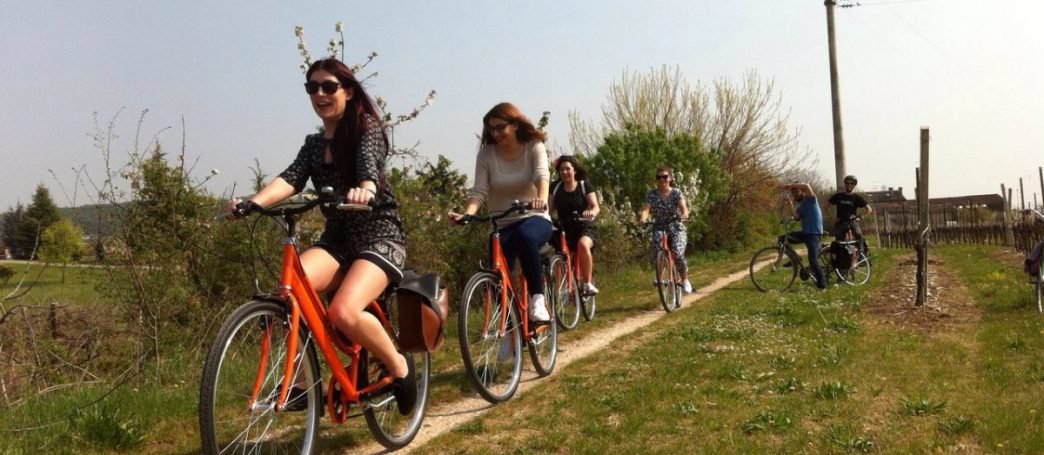 CYCLISME À LA CAMPAGNE AVEC DÉJEUNER BIOLOGIQUE